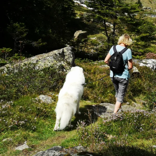 pyrenees-natura-estaing-z83eq