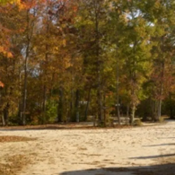 Big Timber Lake RV Resort