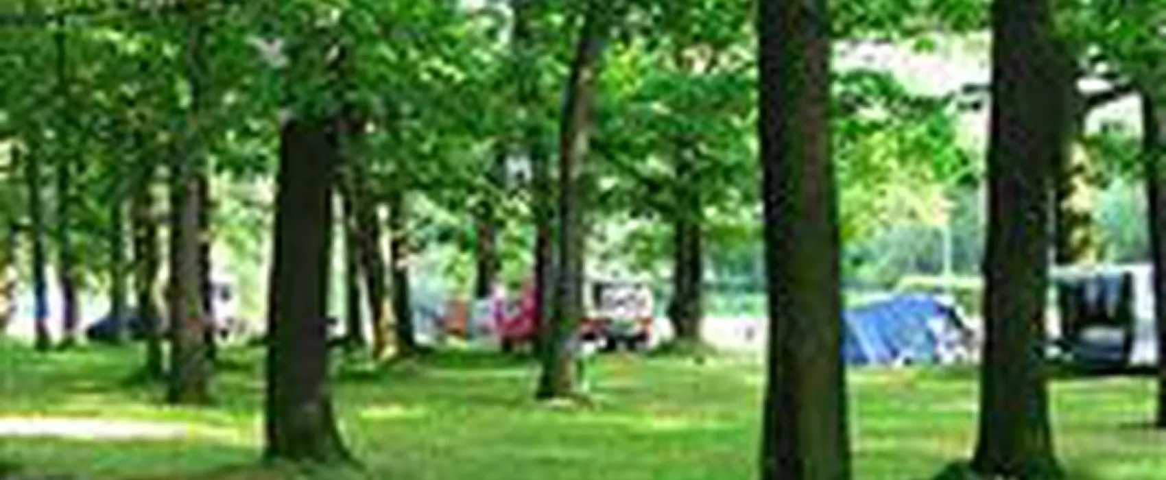 Camping Dębina