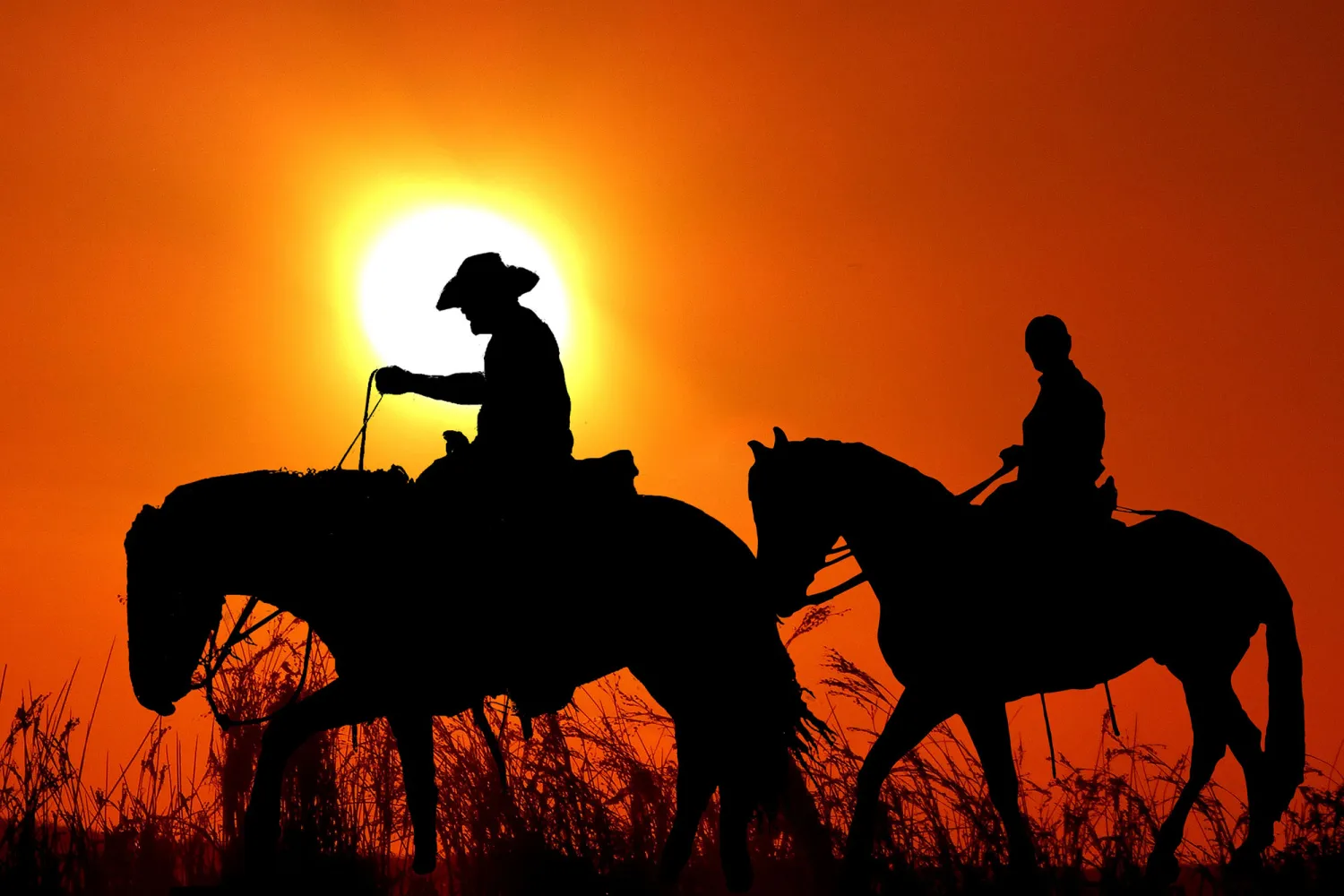 western-farm-boden-jeg55