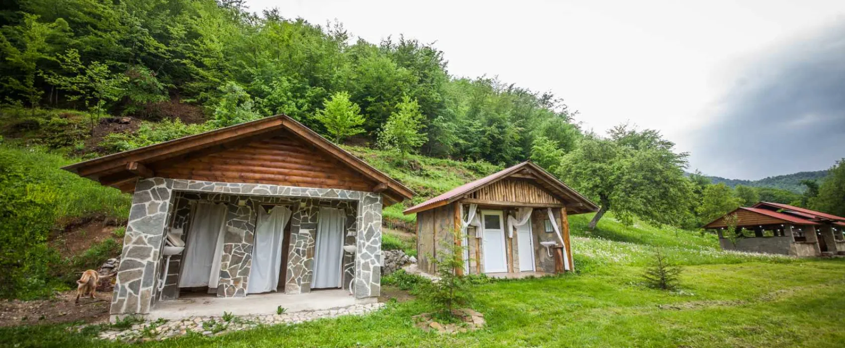 Camp Scepanovic