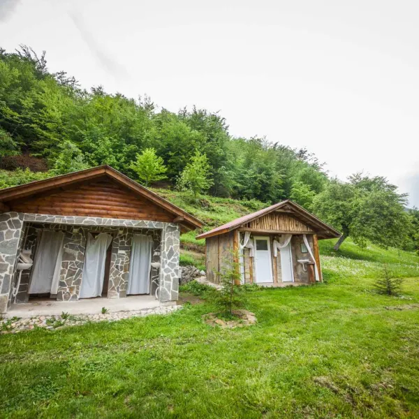 Camp Scepanovic