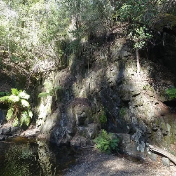 lilydale-falls-campground-lilydale-bczyh