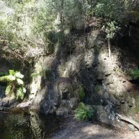 lilydale-falls-campground-lilydale-bczyh