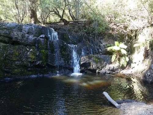 lilydale-falls-campground-lilydale-gxfox