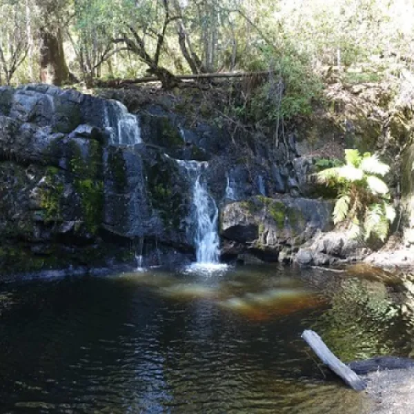 lilydale-falls-campground-lilydale-gxfox