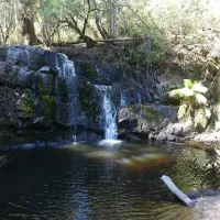 lilydale-falls-campground-lilydale-gxfox