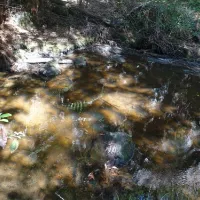 lilydale-falls-campground-lilydale-laekg