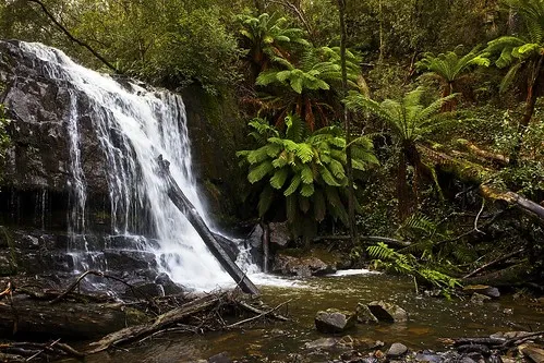 lilydale-falls-campground-lilydale-m4wmt