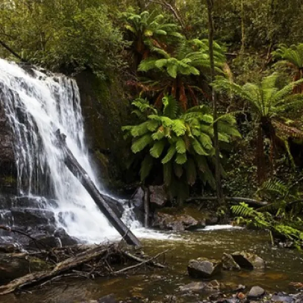 lilydale-falls-campground-lilydale-m4wmt