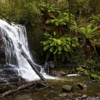 lilydale-falls-campground-lilydale-m4wmt