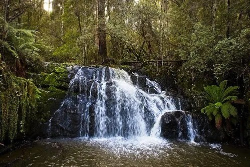 lilydale-falls-campground-lilydale-uvcrw