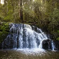 Lilydale Falls Campground