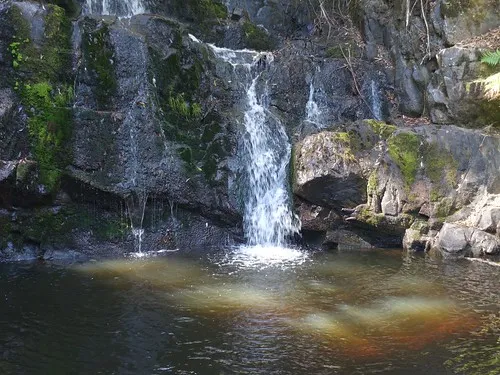 lilydale-falls-campground-lilydale-w9ow2