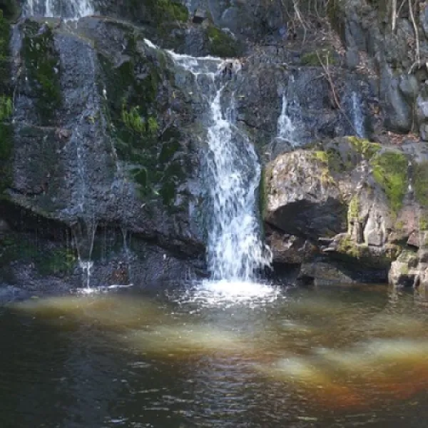 lilydale-falls-campground-lilydale-w9ow2