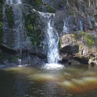 lilydale-falls-campground-lilydale-w9ow2