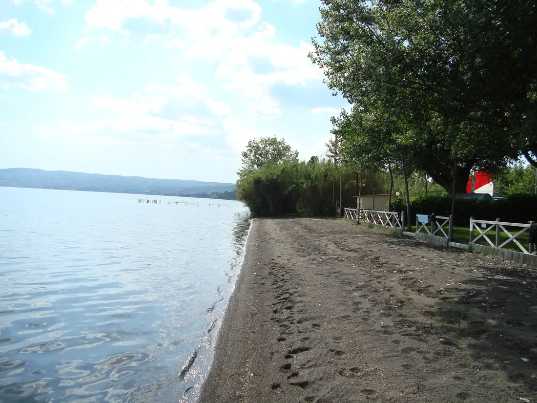 massimo-bolsena-hwgmf