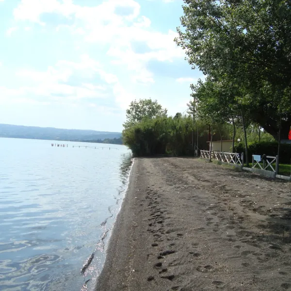 massimo-bolsena-hwgmf
