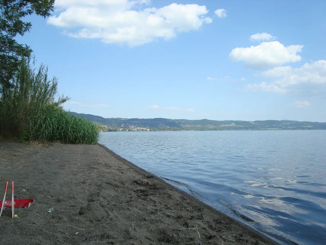 massimo-bolsena-q6mte