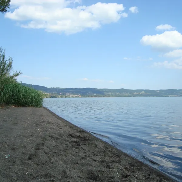 massimo-bolsena-q6mte