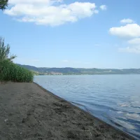 massimo-bolsena-q6mte
