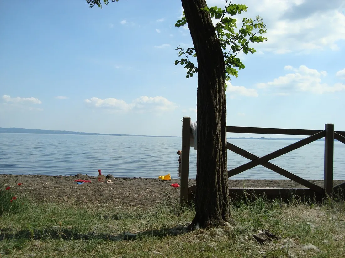 massimo-bolsena-vguf3