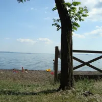 massimo-bolsena-vguf3
