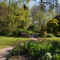 little-oak-campsite-retford-lttfu