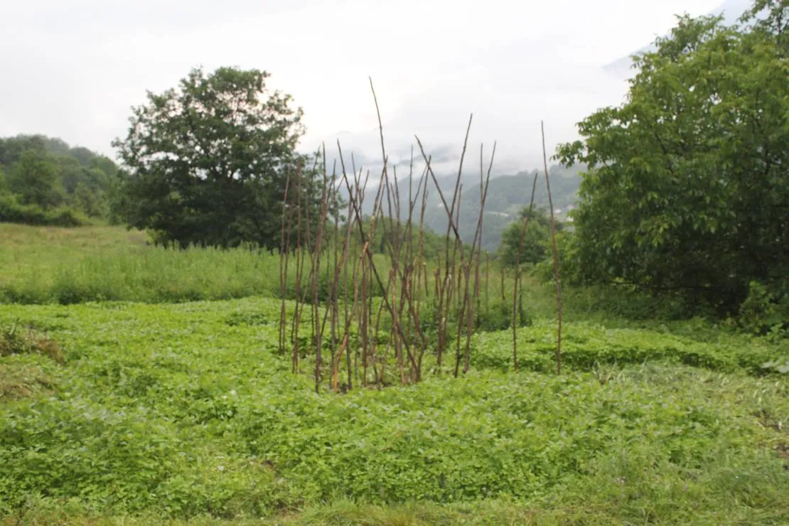 eco-village-pseniciste-andrijevica-i3jos