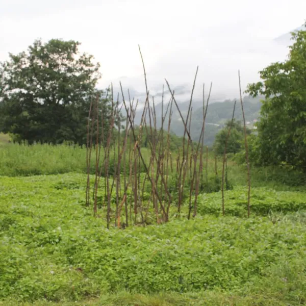eco-village-pseniciste-andrijevica-i3jos