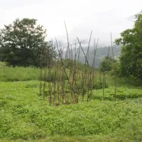 eco-village-pseniciste-andrijevica-i3jos