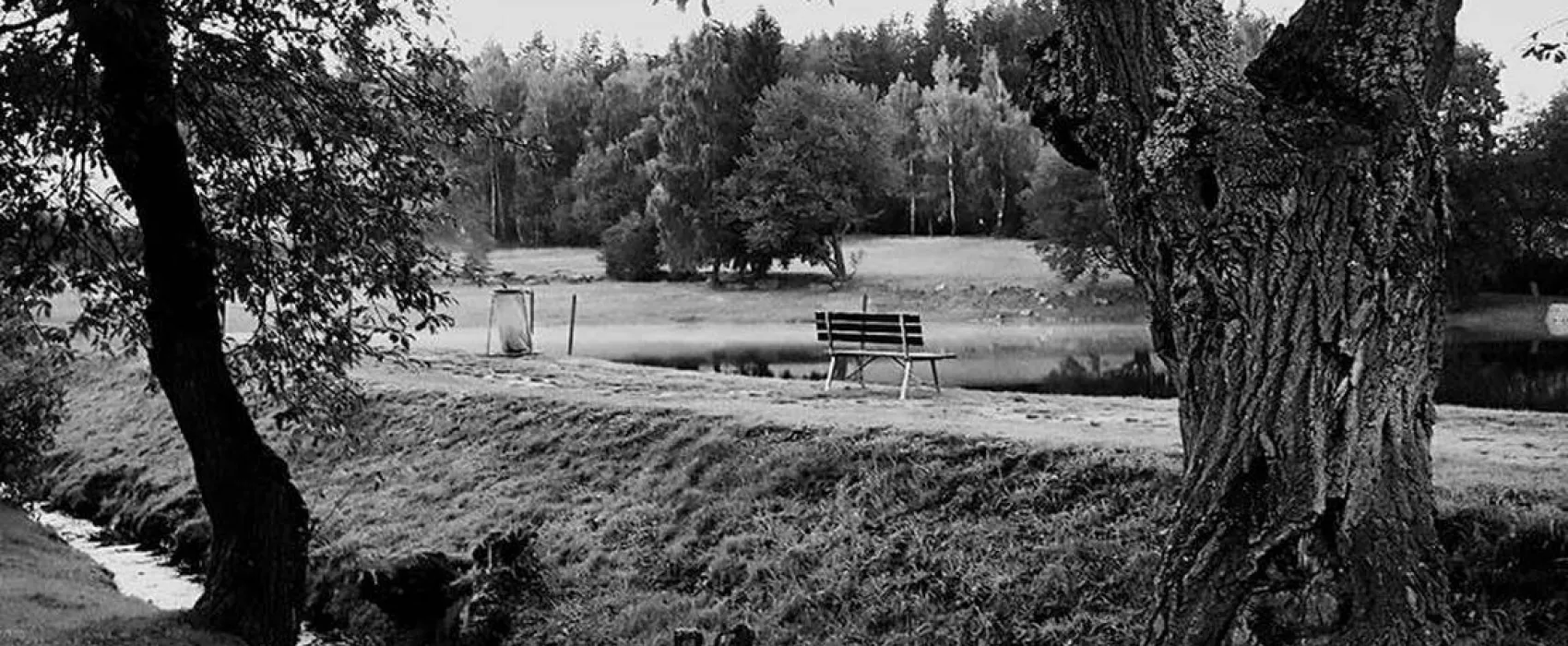 Camp Rohanov