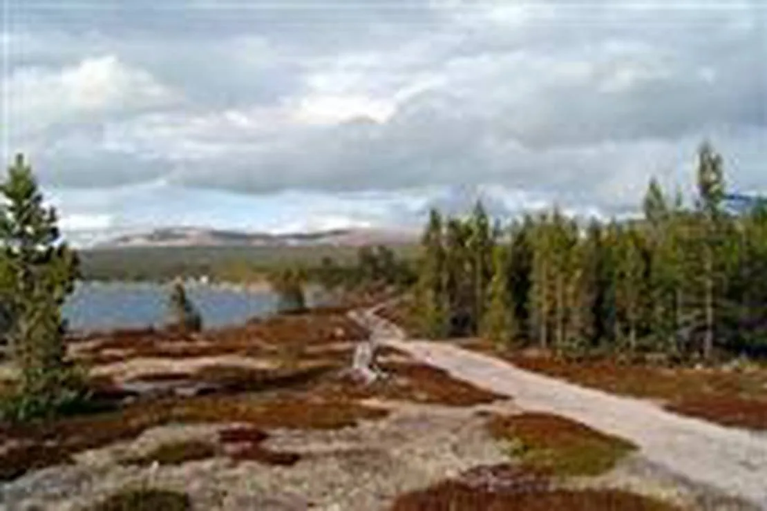 femund-fjellstue-elga-f4wep