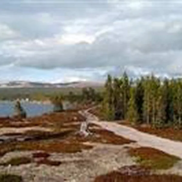 femund-fjellstue-elga-f4wep