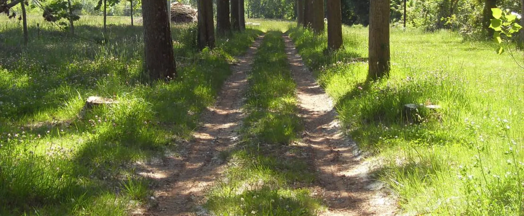 Camping La Planque