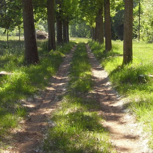 camping-la-planque-st-izaire-ebiun