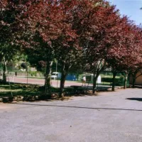 camping-la-planque-st-izaire-f3z4v