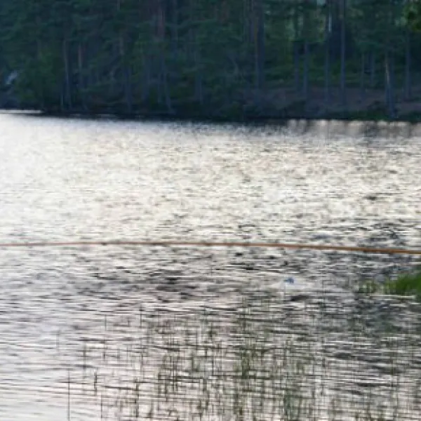 grums-fish-ncamp-savsjon-segmon-nihdw