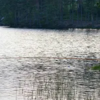 grums-fish-ncamp-savsjon-segmon-nihdw