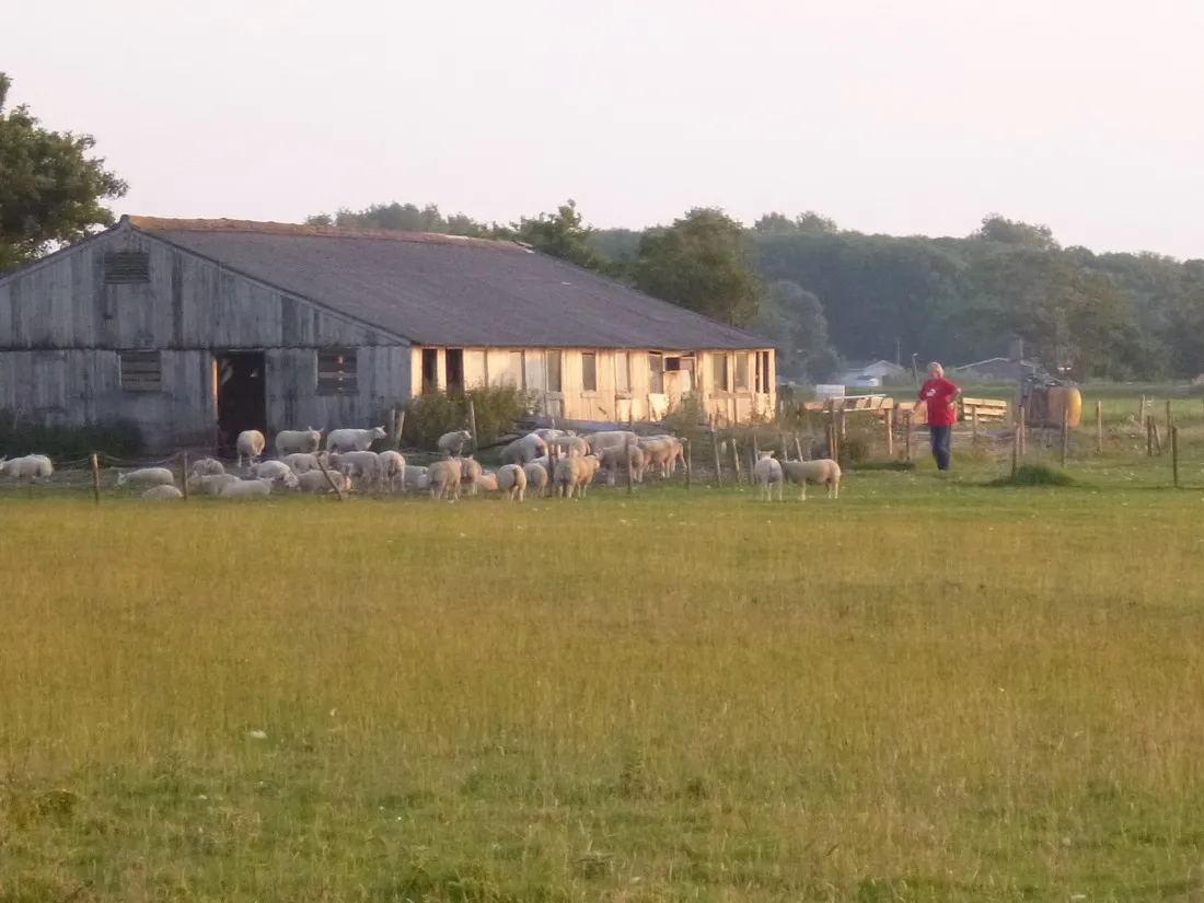 de-zonnehoeve-egmond-aan-zeeegmond-aan-den-hoefegmond-binnen-1nb4a