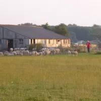 de-zonnehoeve-egmond-aan-zeeegmond-aan-den-hoefegmond-binnen-1nb4a