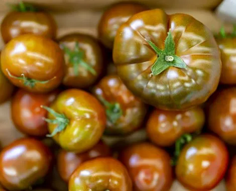 warberg-tomateria-varberg-du4mp