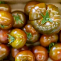 warberg-tomateria-varberg-du4mp