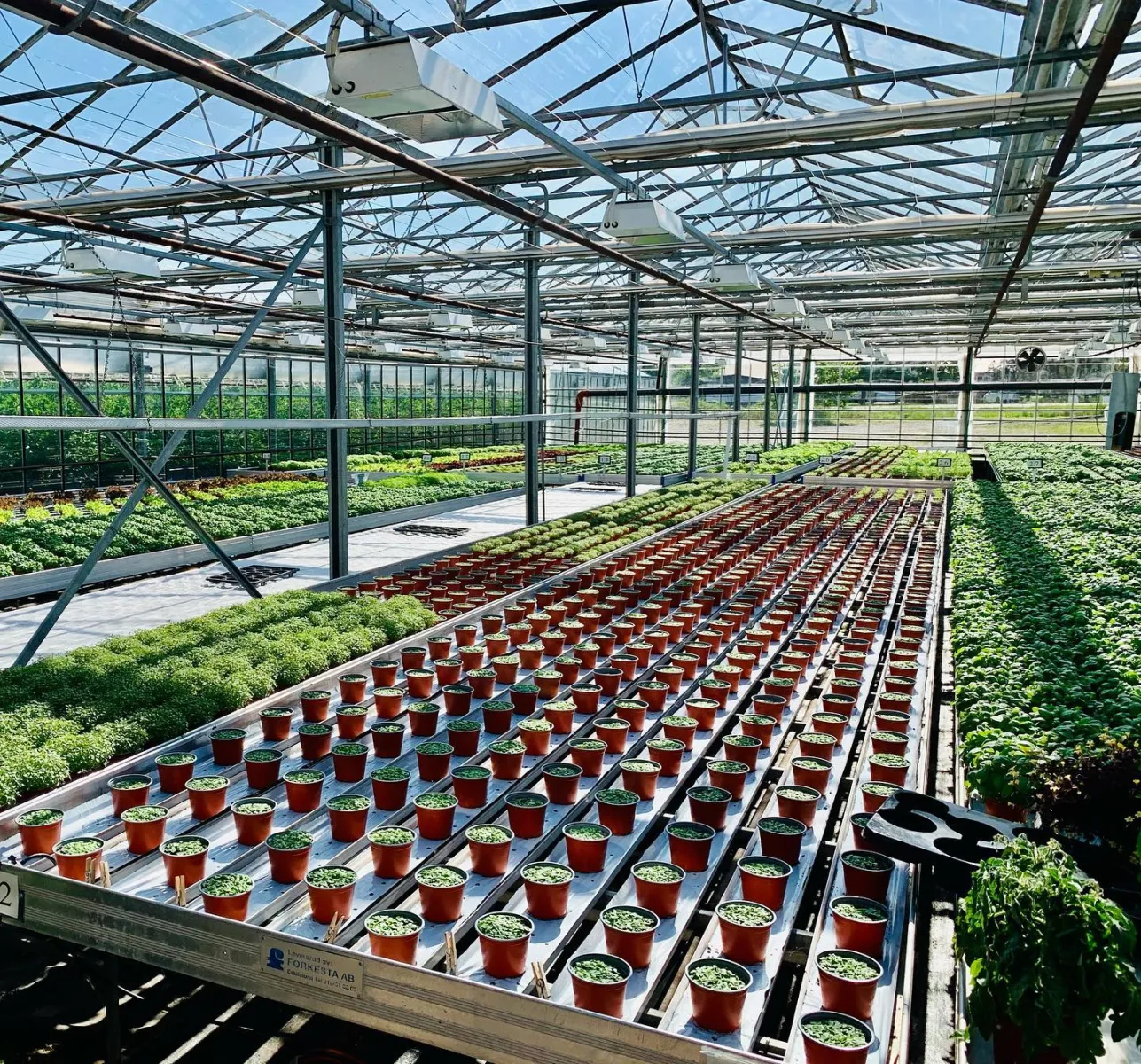 warberg-tomateria-varberg-gxsgi