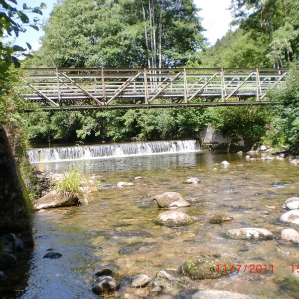 schonenbuchen-schonau-im-schwarzwald-ne1uv