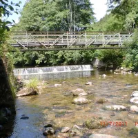 schonenbuchen-schonau-im-schwarzwald-ne1uv
