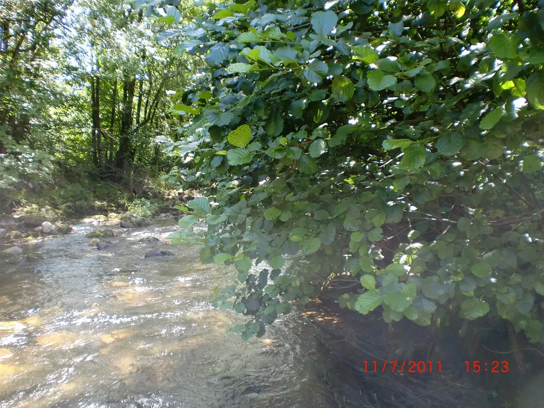 schonenbuchen-schonau-im-schwarzwald-y5j2a