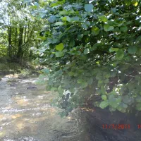 schonenbuchen-schonau-im-schwarzwald-y5j2a