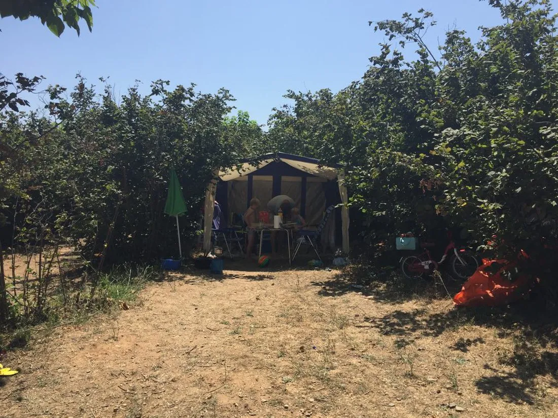 vinyols-camp-vinyols-i-els-arcs-9zrin