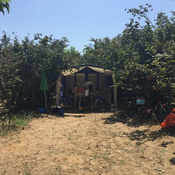 vinyols-camp-vinyols-i-els-arcs-9zrin